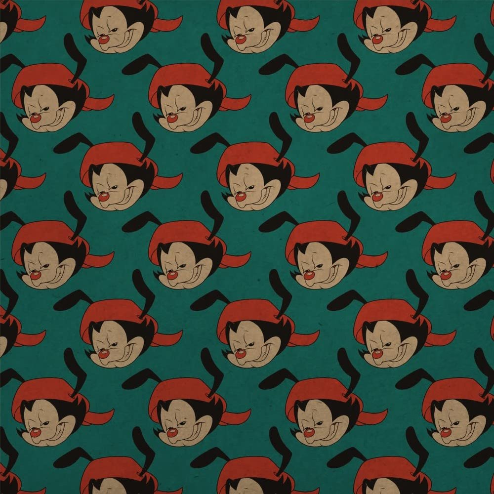 GRAPHICS & MORE Animaniacs Wakko Head Premium Kraft Roll Gift Wrap Wrapping Paper