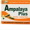 Ampalaya Supplement - 550mg 30 Capsules with Banaba,Turmeric and Bitter Melon. Ampalaya Plus Capsules - Halal Herbal Suplements view 1