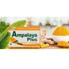 Ampalaya Supplement - 550mg 30 Capsules with Banaba,Turmeric and Bitter Melon. Ampalaya Plus Capsules - Halal Herbal Suplements view 2