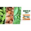 Ampalaya Supplement - 550mg 30 Capsules with Banaba,Turmeric and Bitter Melon. Ampalaya Plus Capsules - Halal Herbal Suplements view 3