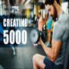 STS Creatine 300 Grams - 100% Pure Raw Creatine Monohydrate Powder, Pre-Workout, Post-Workout, Build Muscle and Stamina - 60 Servings - with Scoop view 4