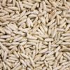 THAI PUFFED JASMINE RICE 25lb Thailand Hom Mali for Brewing or Garnish view 1