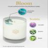 ALUMINATE LIFE Bloom Aromatherapy Candle for Spiritual Healing, Wellness & Meditation  Amazonite Crystal-Infused with Lavender, Neroli & Jasmine  14.5 oz Long-Burn Coconut Wax, Reusable Glass view 3