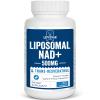 Lepoznan Liposomal NAD+ 500 mg + Trans-Resveratrol 300 mg, Superior Absorption True NAD Supplement Efficient for Cellular Energy Metabolism & DNA Repair, 60 Softgels view 1
