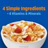 Frosted Flakes Breakfast Cereal, 8 Vitamins and Minerals, Kids Snacks, Large Size, Original, 17.3oz Box (1 Box) view 4