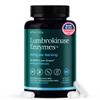 Potent Lumbrokinase Supplement 40mg/Serving (Max Activity - 800,000 Units) - Lumbrokinase Enzymes Capsules for Energy Support, Digestion, Detox, Cognition & Gut Health - Similar to Nattokinase view 1