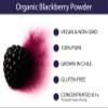 KOYAH - Organic BlackBerry Powder: 30 Servings (1 Scoop = 1/4 Cup Fresh): Freeze-Dried, Whole-Berry Powder, Raw view 4