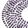 20 Pieces Natural Amethyst Side Drilled Polished Rough/Amethyst Polished Raw/Purple Amethyst Crystal/Amethyst Raw/Semi Precious Raw/ 5-8 Mm By Krishiv Exports view 1