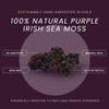 USDA Organic Irish Sea Moss  Wildcrafted Chondrus Crispus (Purple)  100% Natural, Sustainably Harvested from Chile  Makes ~100oz of Sea Moss Gel  Nutrient-Rich Superfood  Reds Pure Botanicals view 2
