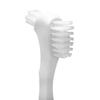 Pearson 12 Pack Hard Denture Cleaning Brushes, White, Double Sided, Reusable, Manual Operation view 2
