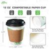12 oz Compostable Paper Cups with Black Dome Lids, Sleeves and Wooden Stirrers - Biodegradable Disposable White Paper Coffee Cups PLA Lined - Eco-friendly Hot and Cold Drinking Cups (250) view 3
