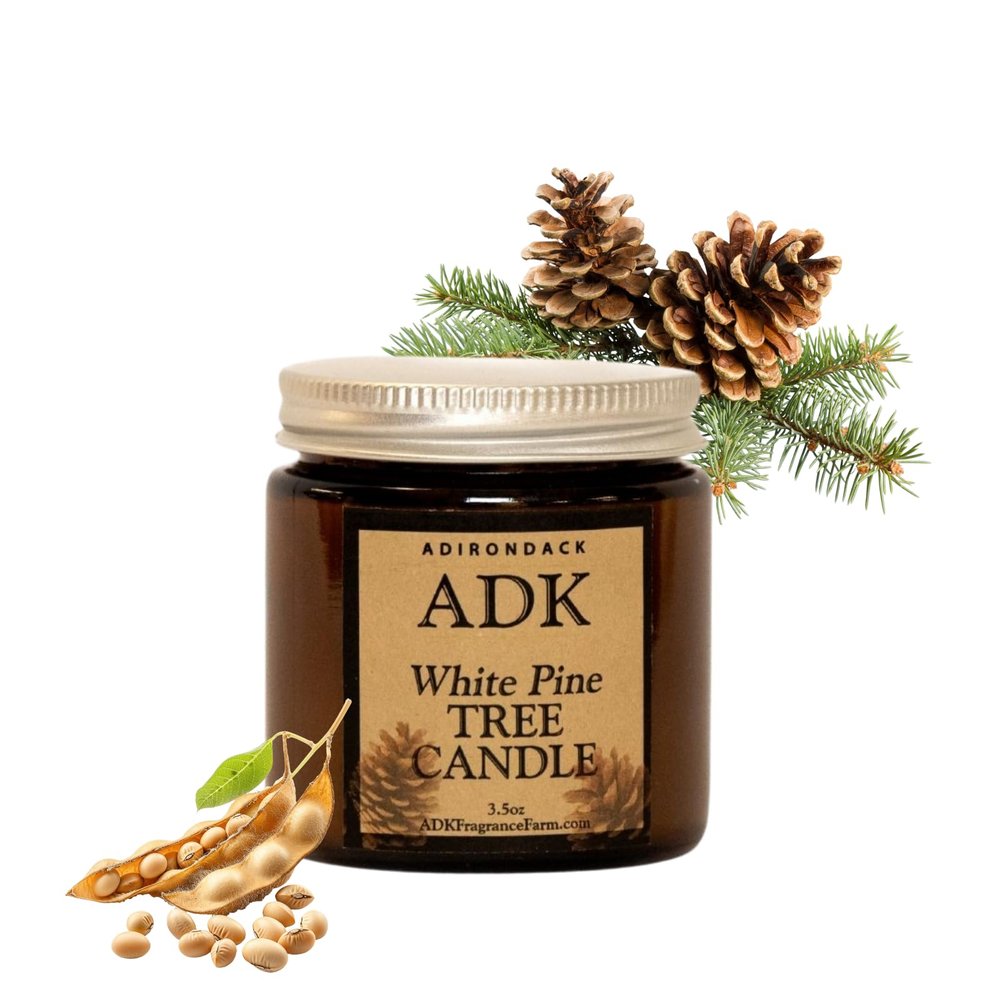 ADK White Pine Scented Candle, 3.5 Oz Aromatherapy Candle, Proudly Poured in The USA, Natural Wax for Relaxation and Home Dcor, for Gift, Kitchen, and Living Spaces