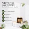 ADK White Pine Scented Candle, 3.5 Oz Aromatherapy Candle, Proudly Poured in The USA, Natural Wax for Relaxation and Home Dcor, for Gift, Kitchen, and Living Spaces view 2
