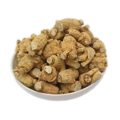American Ginseng Root Natural Wild 12 Years of American Ginseng Root Xi Yang Shen American Ginseng Organic American Ginseng (500 Grams /1.10 lbs)