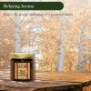 ADK Birch Scented Candle, 3.5 Oz Aromatherapy Candle, Proudly Poured in The USA, Natural Wax for Relaxation and Home Dcor, for Gift, Kitchen, and Living Spaces view 4