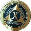 10 Year AA Medallion Glossy Elegant Black Gold Silver Bi-Plate Sobriety Chip view 1