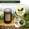 ADK Balsam & Fir Scented Candle, 10 Oz Aromatherapy Candle, Proudly Poured in The USA, Natural Wax for Relaxation and Home Dcor, for Gift, Kitchen, and Living Spaces view 3