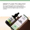 Chlorophyll Liquid Drops - for Digestion, Gut Health, Energy and Detox - Vegan Safe (Rich, Full Texture and Taste, Not Watered Down), 2oz Peppermint Flavored, by Double Wood view 3