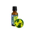 30ml (1oz) Broom (Genet, Spartium Junceum) Absolute Essential Oil view 1