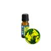 10ml (1/3oz) Broom (Genet, Spartium Junceum) Absolute Essential Oil view 1