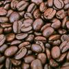 Brazil Cerrado (Dark Roast, 12oz) view 4