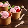 Mini Bamboo Utensils - 200PK Mini Bamboo Spoons 3.54" Rectangular Disposable Small/Tiny Spoon for Jelly/Pudding/Yogurt/Desert/Cake/Tasting Natural 100% Compostable Biodegradable Renewable view 4