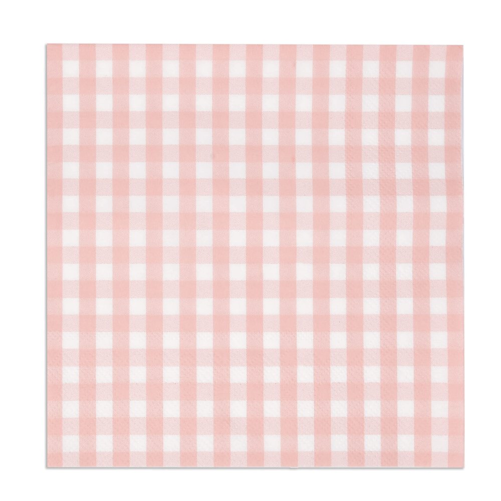 Gift Boutique 100 Pink and White Gingham Luncheon Napkins Disposable Paper Checkered Plaid Lunch Napkin for Summer Picnic Camping Baby Shower Party