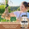 American Standard Supplements Garlic 2400mg Per Serving with Black Pepper Fruit Extract  Vegan, Gluten Free, Non-GMO, 120 Capsules, 40 Servings view 4