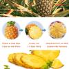 Mkostlich Dried Pineapple Slices, Dehydrated Pineapple Slices for Cocktail Garnish Drinks Baking Fruit Tea, No Sugar Added No Sulphur, Edible Dry Pineapple Flowers, 100g/3.52oz (Pack of 1) view 3