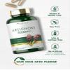 Carlyle Artichoke Extract Capsules | 200 Count | Non-GMO, Gluten Free Supplement view 4