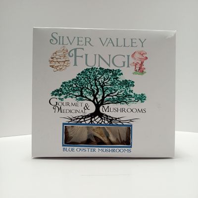 Blue Oyster Dried Mushrooms Grown In USA