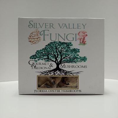 Florida Oyster Dried Mushrooms Grown In USA