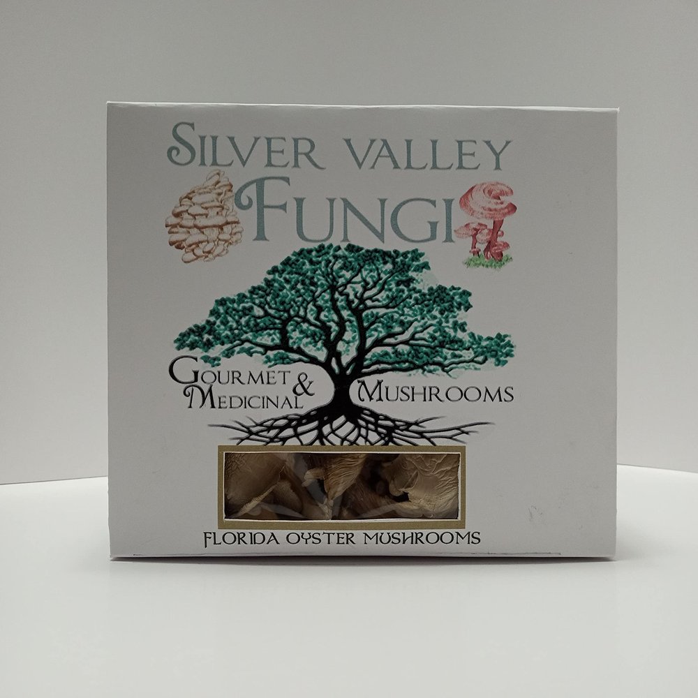 Florida Oyster Dried Mushrooms Grown In USA