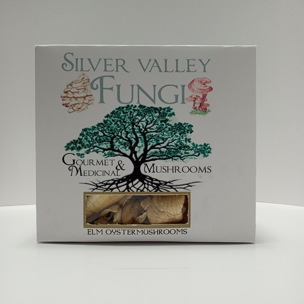 Elm Oyster Dried Mushrooms Grown In USA