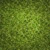 Birch & Meadow 5 oz of Spinach Flakes, Seasonings & Soups, Grains & Breads view 3