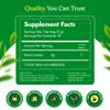3 Ballerina Diet Tea Extra Strength  Caffeine-Free Herbal Tea Bags for Digestive Comfort and Weight Maintenance  Pack of 4 (72 Count) view 2