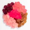 Teami Wellness Gummies Multivitamin Heart Shaped Gummies for Beauty and Wellness Routine Fruity Flavor Delicious Gummies for Women view 4