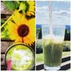 100% Pure Ceremonial Grade Japanese Matcha Powder view 3