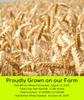 Palouse Brand Hard Red Winter Wheat Berries | Certified Glyphosate Residue Free | 25 LBS | Emergency Food Storage Bucket | Non-GMO | Grown on Our Family Farm | Bulk view 3