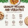 Snack The True Organic Brazil Nuts 15 oz  Raw and Unsalted  Kosher  Healthy-Rich in Vegetable Protein  Harvested in Amazon Rainforest  Fresh, Vegan and Gluten Free  Forest Up view 4
