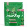 Waterboy Workout Hydration | 2,960mg Sugar Free Electrolyte Powder Packets | L-Glutamine + Vitamins | No Sugar, All Natural, Gluten Free | 15 Drink Stick Mixes (Strawberry Lemonade) view 1