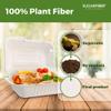 [500 COUNT]Harvest Pack 9 X 6" PFAS FREE White Compostable Clamshell Food Containers, Heavy-Duty Hinged Container, Disposable Bagasse Eco-Friendly Natural Takeout to go Box, Made from Sugarcane view 3
