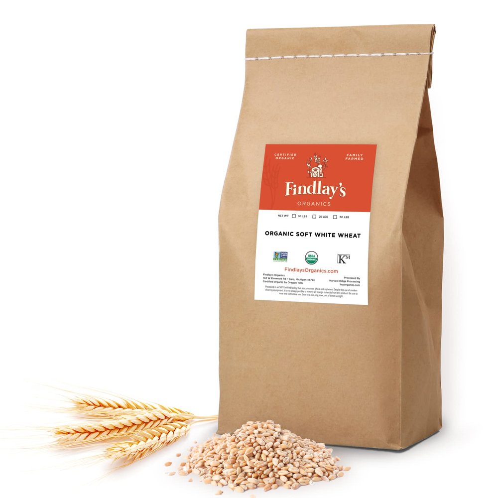 Soft White Wheat Berries Organically Grown in Michigan, Farmer Direct, USDA Organic Certified, Non-GMO, 50 Lbs Total // Findlay's Organics