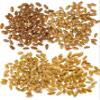 Palouse Brand Certified Glyphosate Residue Free Wheat Berries | 100 LBS | Hard White, Soft White, Hard Red Winter, Hard Red Spring Wheat Berries [25 lbs each] view 3