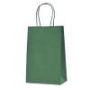 Nexmint Christmas Green Gift Bags: 96 Bulk Pack Small Gift Bags with Handle (8.5" x 5.5"). Great for Christmas, Gifts, Holidays, Party, Goodie, Candies, Appreciation & Special Occasions view 1