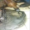 MotorPower Care In-House DPF Cleaning Save Time and Money with Our Revolutionary Flush Liquid view 4