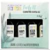 Aura Cacia Purify Essential Oil Kit