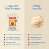 Equip Foods Prime Protein Powder | Clean, Grass Fed Beef Protein Powder for Women & Men | Carnivore Protein Isolate | Paleo, Keto Friendly | Gluten & Dairy Free | 30 Servings, Peanut Butter view 3