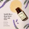 AROMAFUME Patchouli Essential Oil - 100% Natural, Therapeutic Grade Essential Oils - Pure, Harmonising Aromatherapy Oil for Home Diffusers - Gifts for Her - 10ml view 3