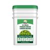Valley Food Storage Freeze Dried Green Beans | 10-Bag Bucket, 28.2 oz | Premium Emergency Food Supply, 25 Year Shelf Life | Non-GMO Prepper Food for Camping, Cooking & Long-Term Storage, Packaged in USA view 1